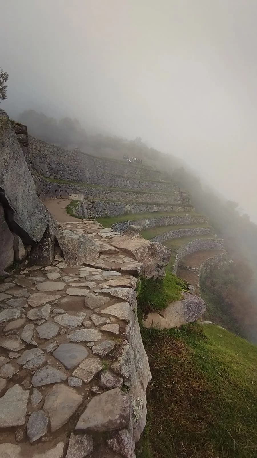 Stone path of the Inca Trail in the mist, near Machu Picchu