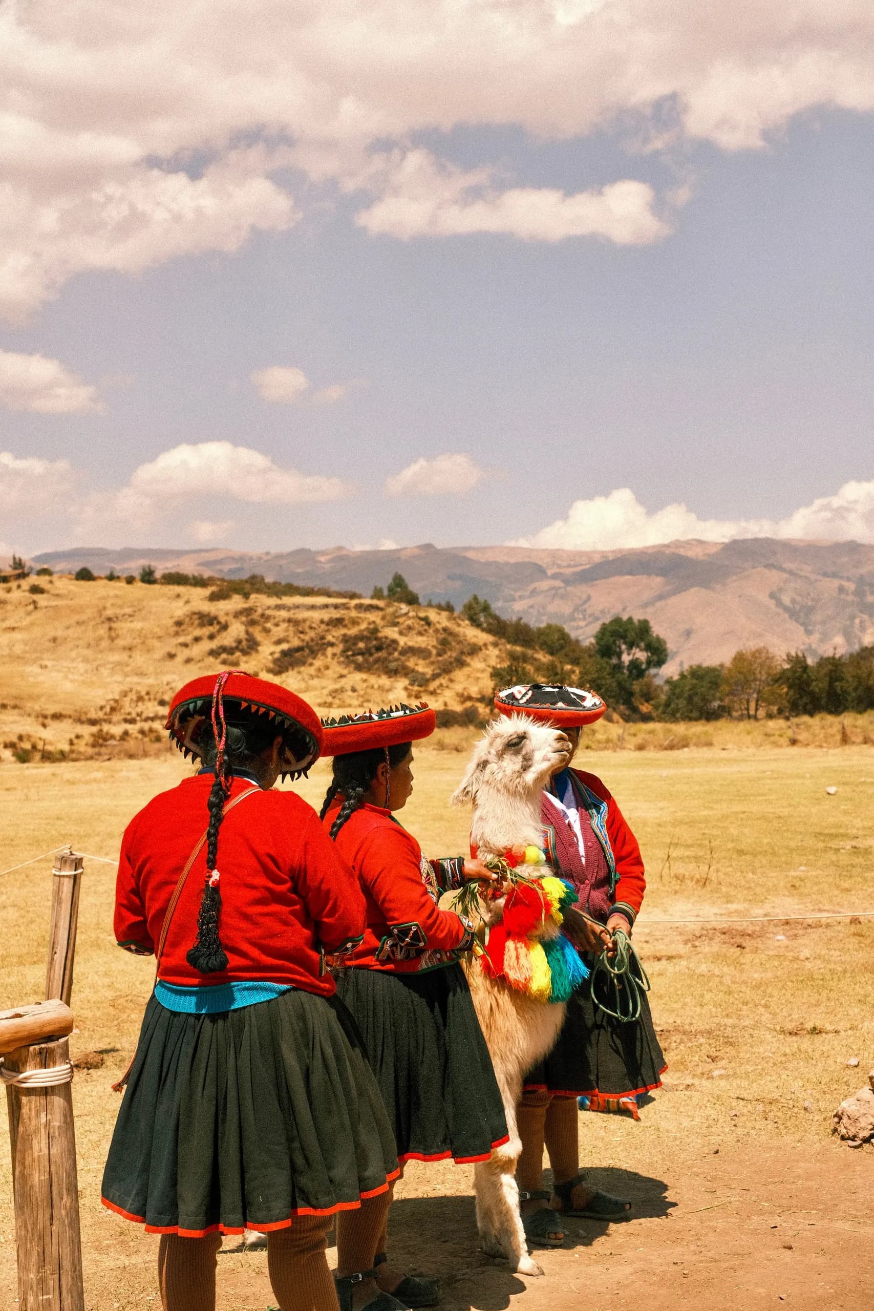 Women in Andean clothing with a llama beside a rural path
