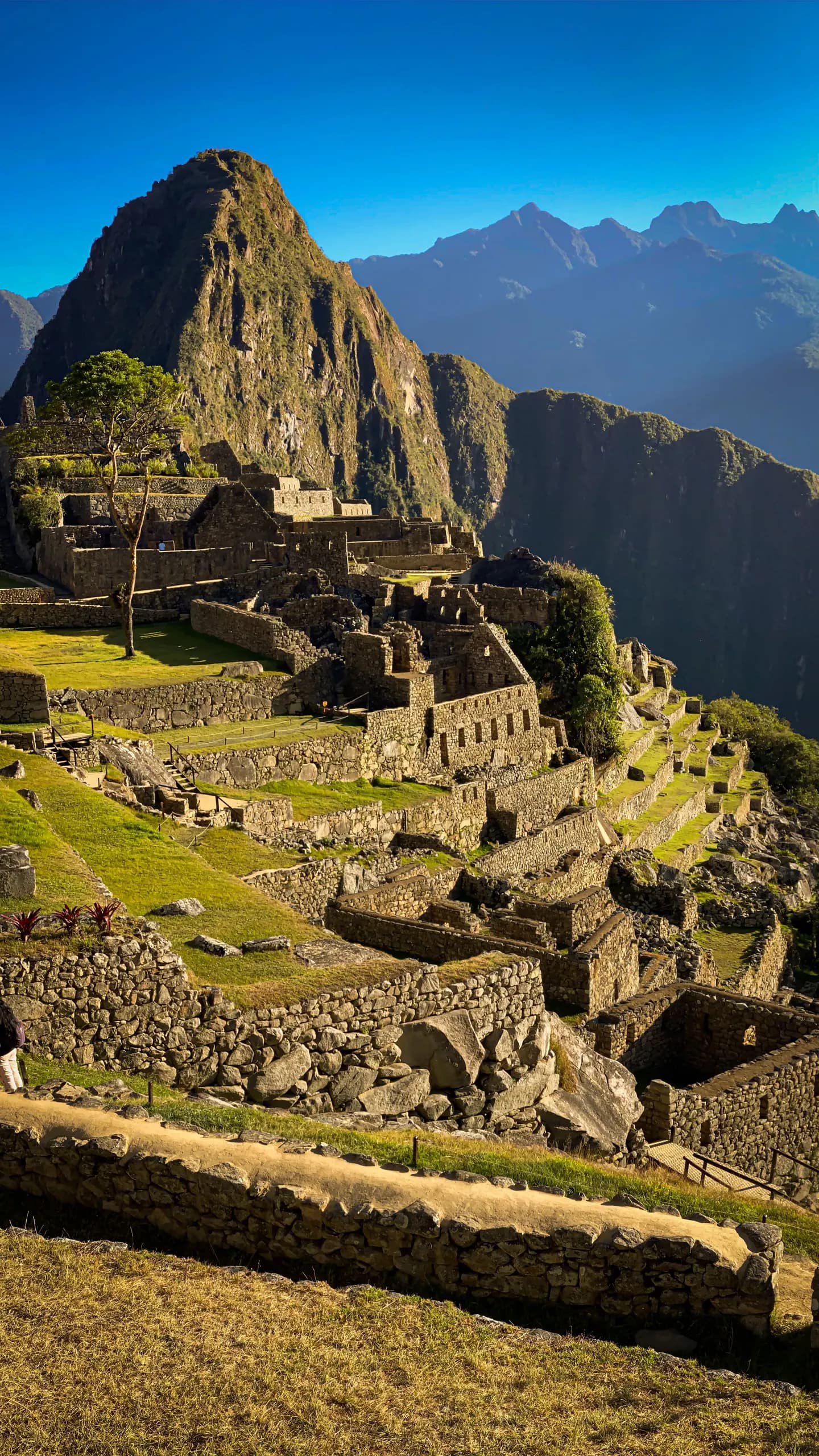 Terraces and stone buildings at Machu Picchu