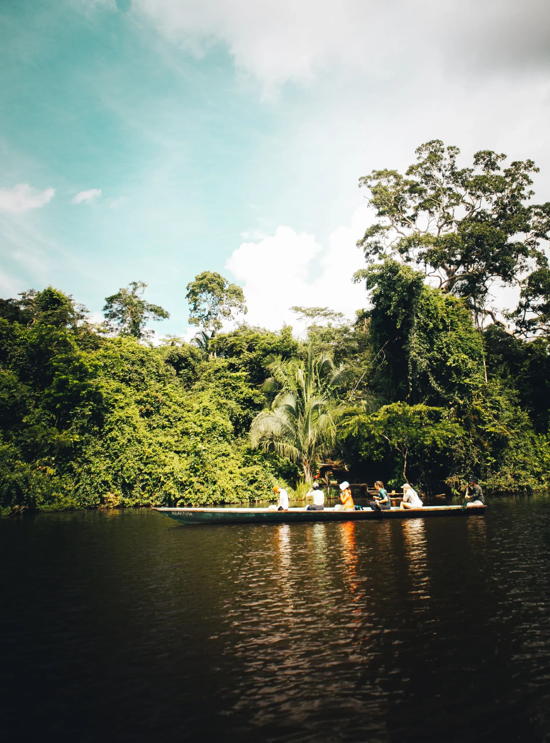 Boat on a river surrounded by rainforest