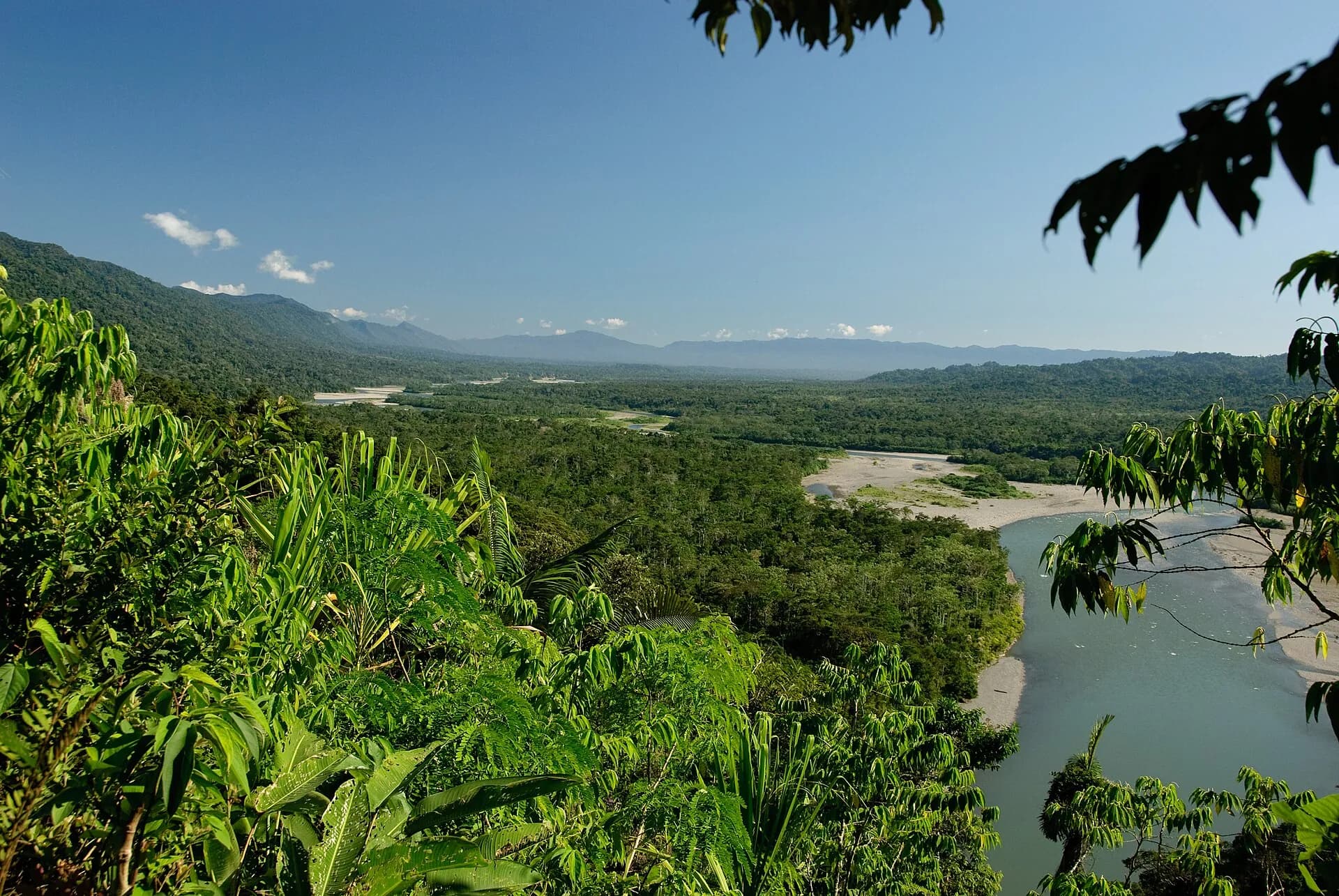 The Manu River surrounded by extensive tropical rainforest