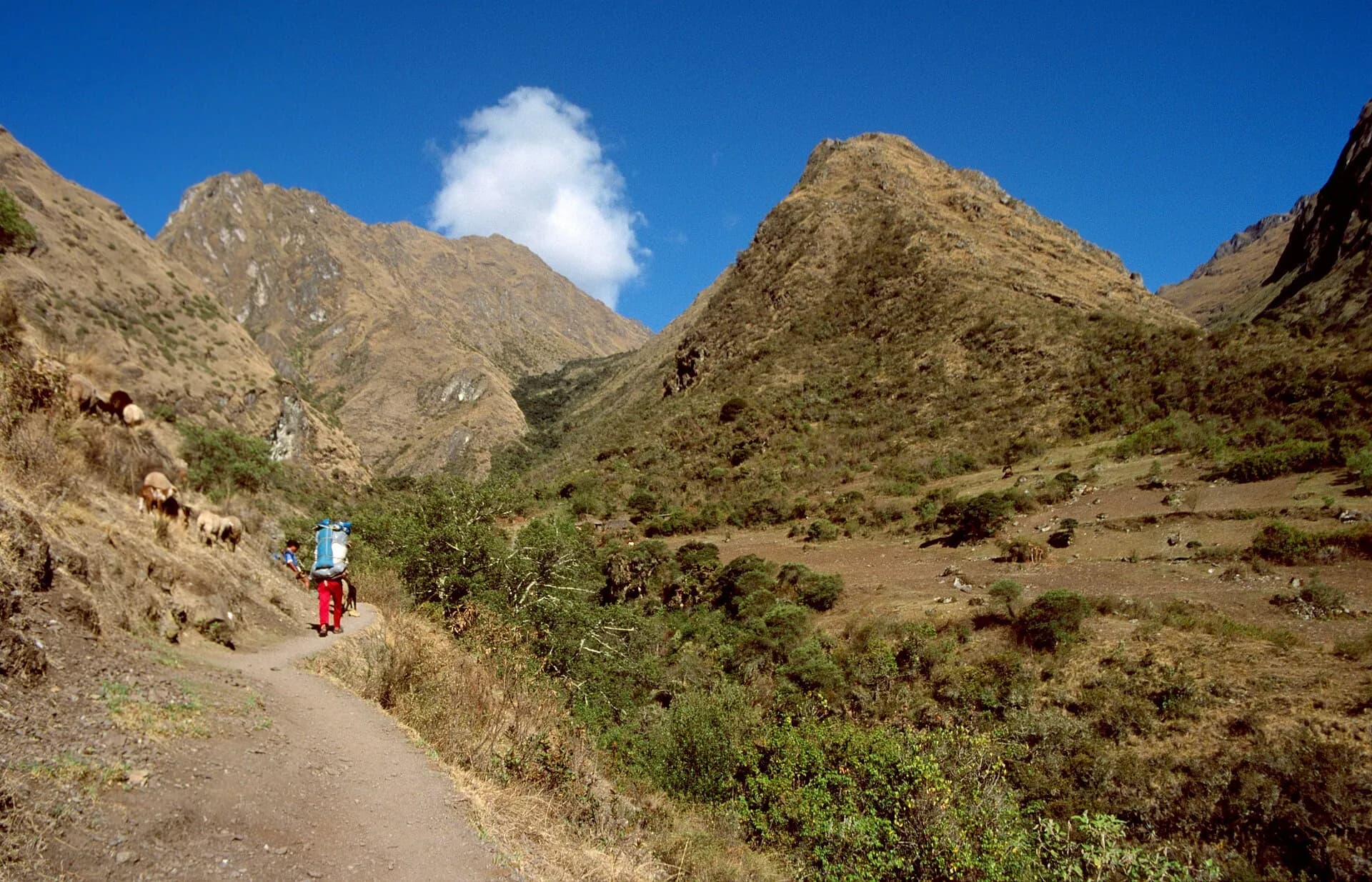 Hikers ascending the trail to Warmiwañusca Pass