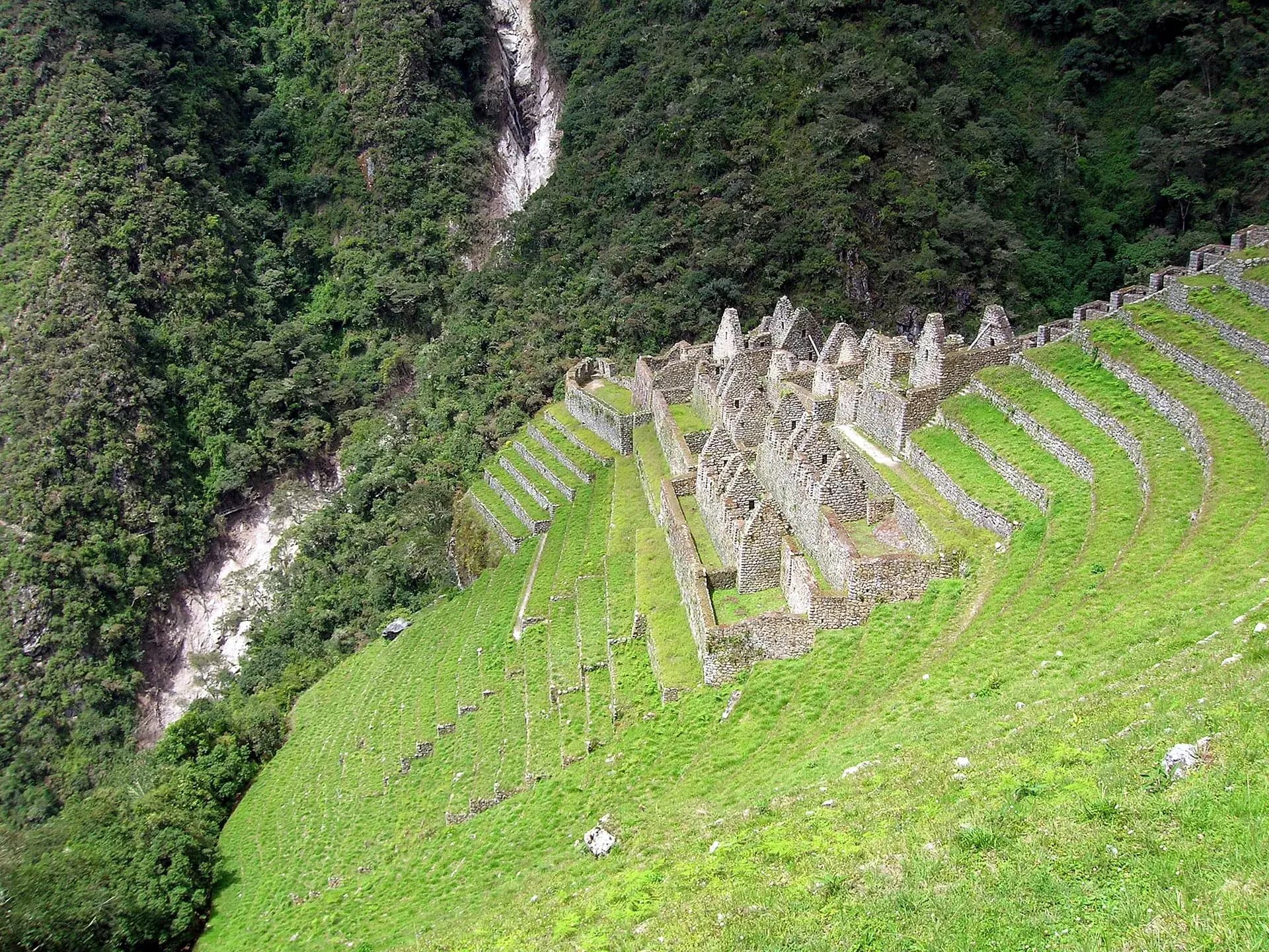 Inca terraces at Wiñay Wayna among vegetation and mountains