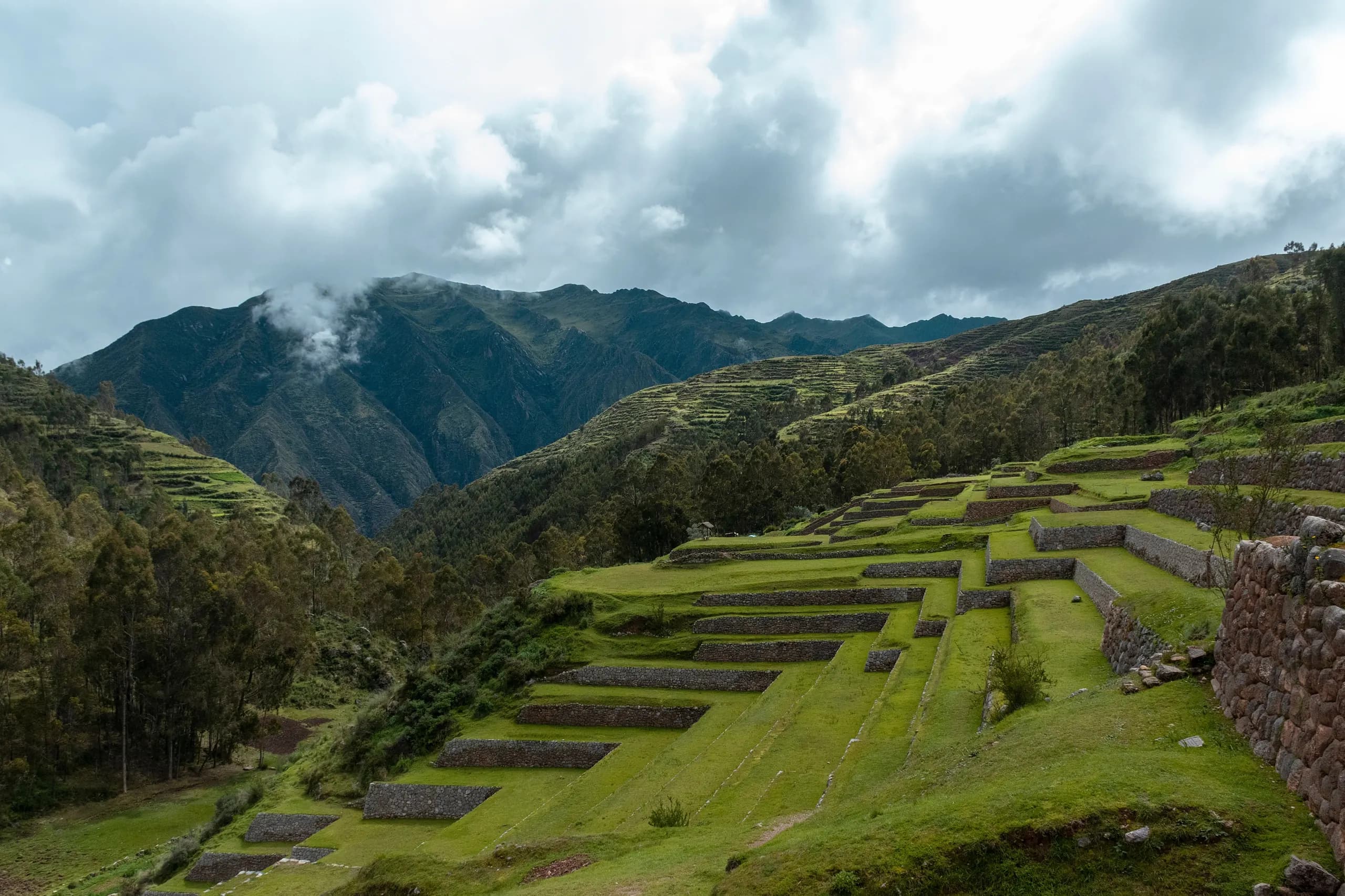 © gilmerdiaz · Pexels Inca terraces surrounded by forested mountains