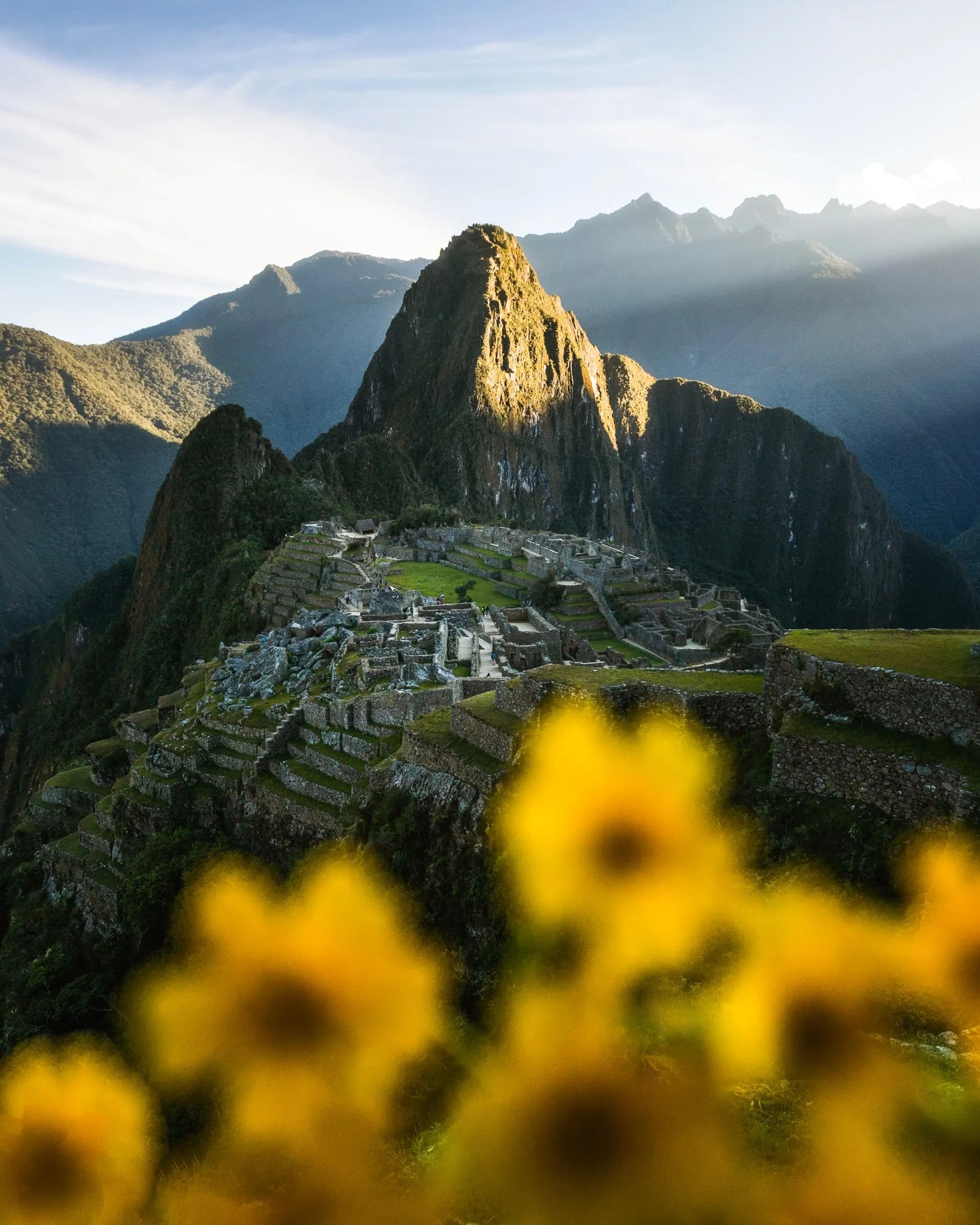 © tracehudson · Pexels Panoramic view of Machu Picchu in morning light, with flowers in the foreground