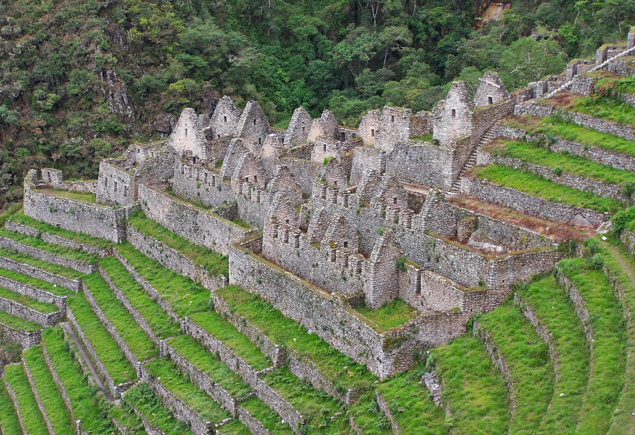 © tom d arby · Pexels Terraces and stone buildings at the Inca site of Wiñay Wayna, among green mountains